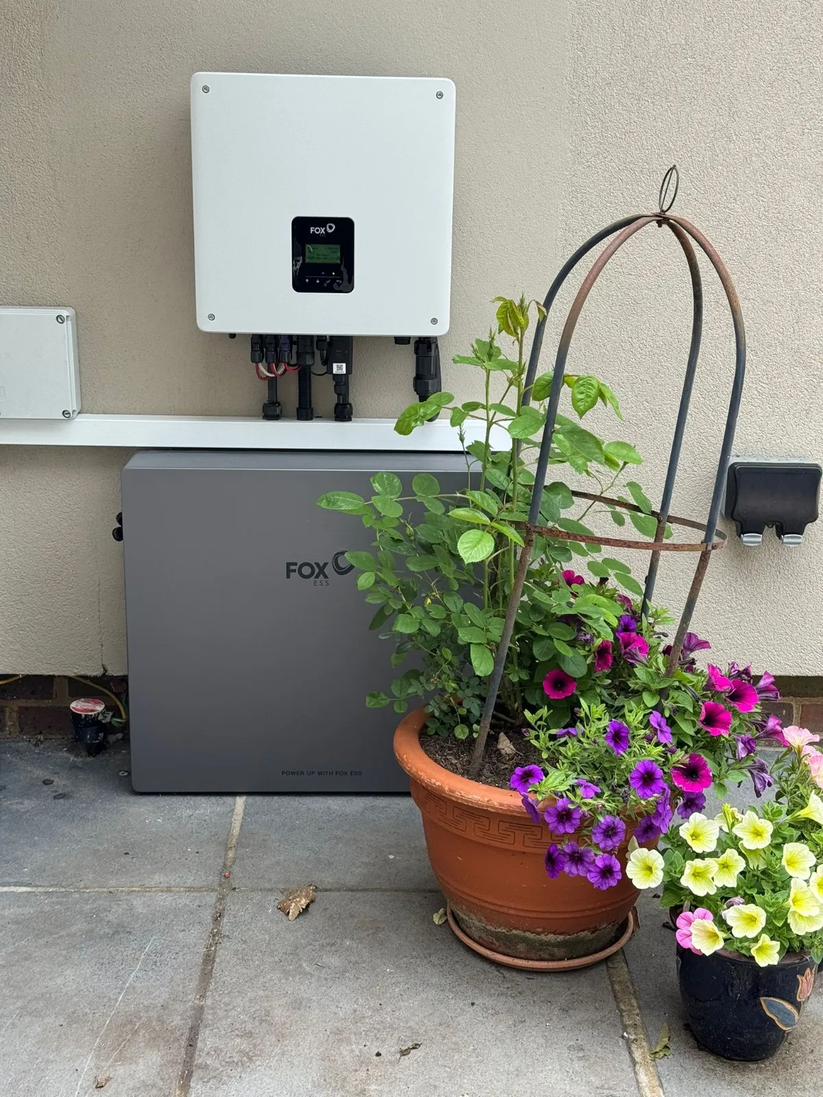 A couple of potted plants sitting next to a water heater.